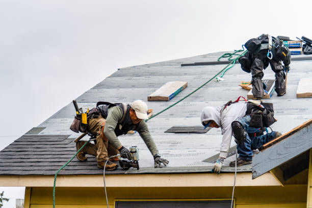 Professional Storm Damage Roof Repair technician working in Winfield, AL